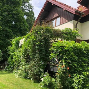 House with a garden Bolechowice